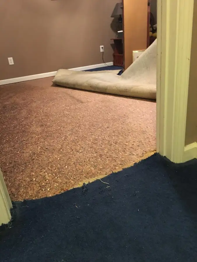 Carpet pad removal revealing water damage during Water Mitigation Services in Buffalo