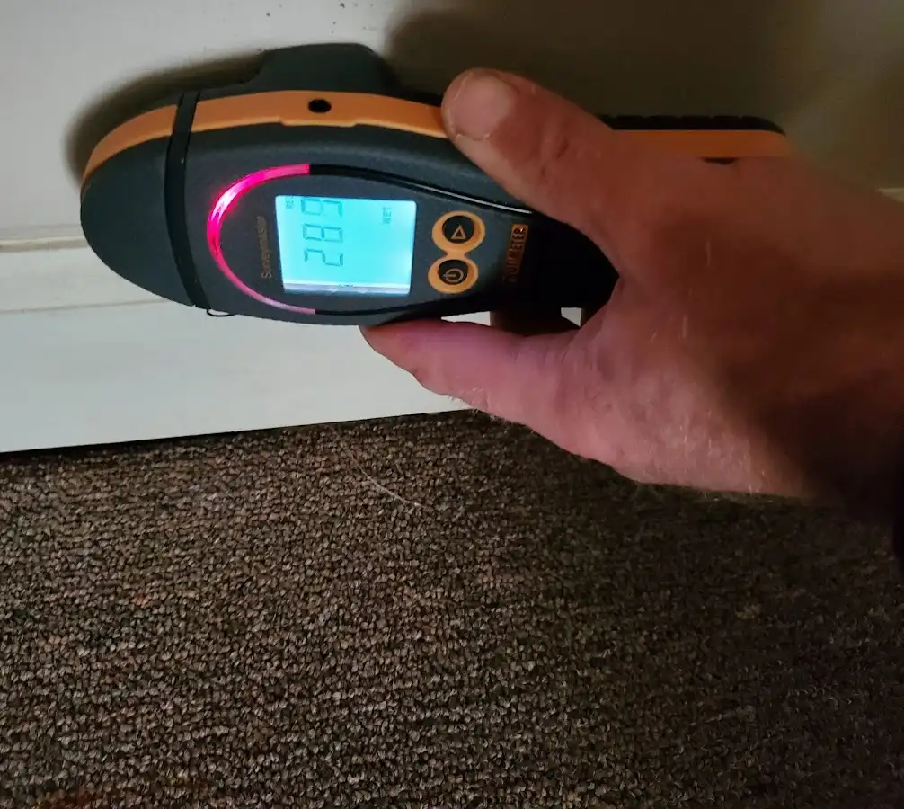 Moisture detection at baseboard during Mold Inspection & Testing in Buffalo